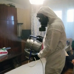 Дезинфекция от клопов в Заинске